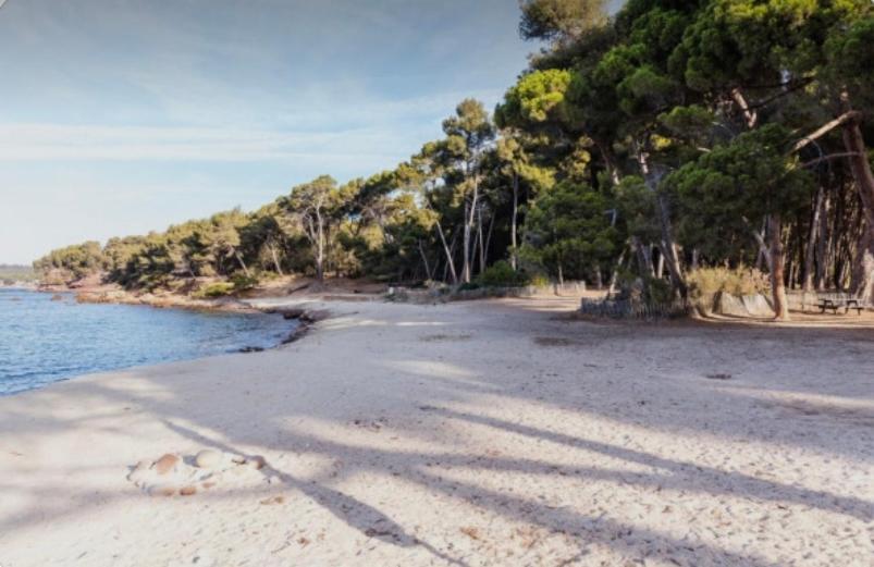 Charmant Studio A Saint Mandrier Sur Mer Apartman Kültér fotó